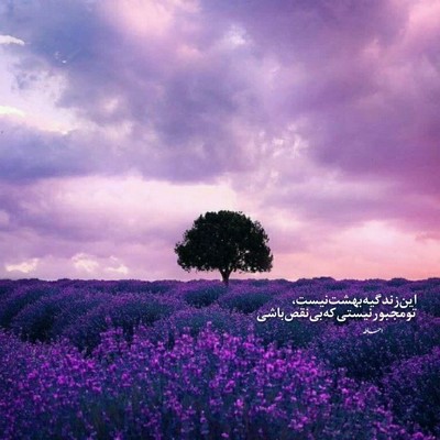 سارن دلت پاک تر از یه قطره اشک بدهکارم من